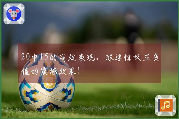 20中15的高效表现，球迷惊叹正负值的震撼效果！